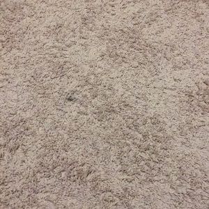 Meet your Posher, Albert